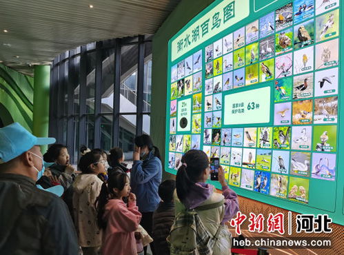 河北發(fā)布《研學(xué)旅游產(chǎn)品質(zhì)量規(guī)范》地方標(biāo)準(zhǔn)，引領(lǐng)行業(yè)高質(zhì)量發(fā)展
